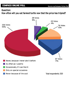 LOCALOnlinePollTurtleSTORY