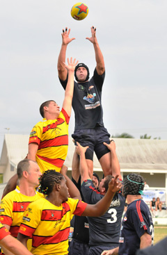 SPORTSIguanasLEAD