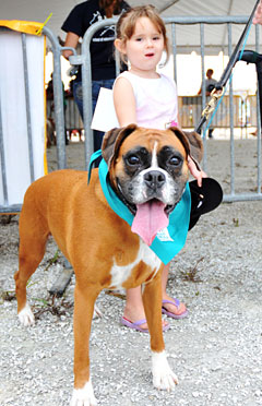 FEATDogshowSTORY