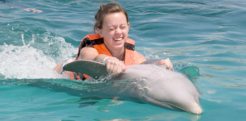 LOCALDolphinDiscoverySTORY
