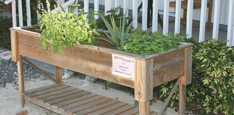5--Growbox-seminar.jpg
