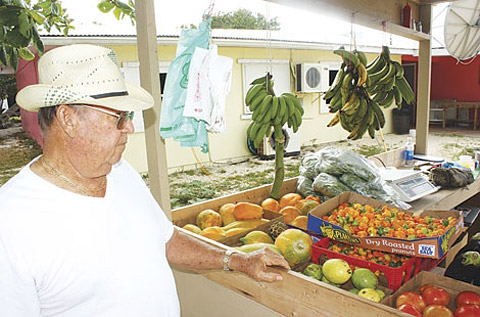 LOCALFruitvendingSTORY