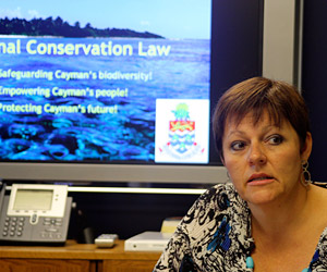 TOPconservationLEAD