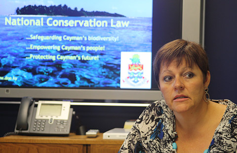 TOPconservationSTORY
