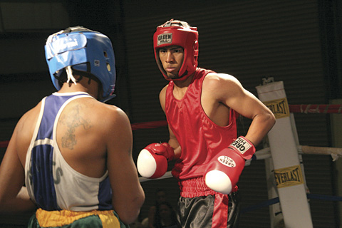 SPORTSfightsSTORY