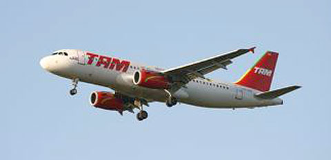 BIZtamairlinesSTORY