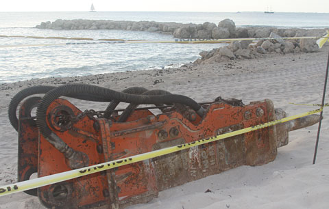 LOCALNewBeachSTORY