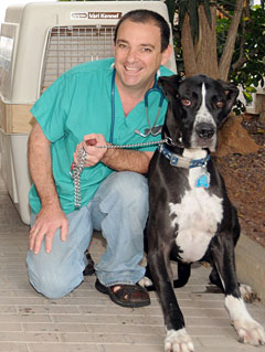 TOPAnimalAirwaysSTORY