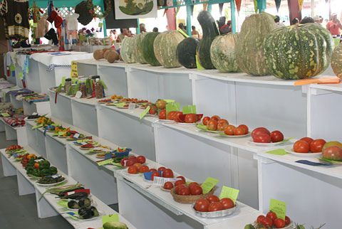 LOCALLocalfarmingSTORY
