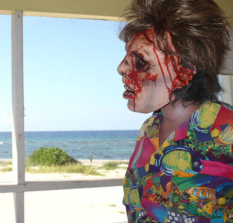 CAYLIFEZombiessequelSTORY