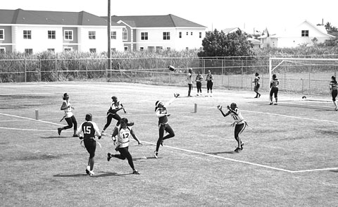 SPORTSWOMENSFLAGSTORY