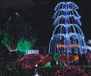 TOPBoddenChristmasLightsLEAD