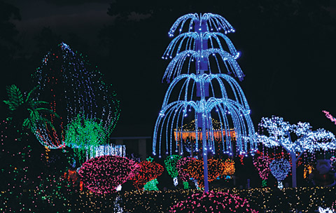 TOPBoddenChristmasLightsSTORY