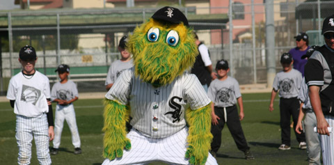 SPORTSwhitesoxfunSTORY