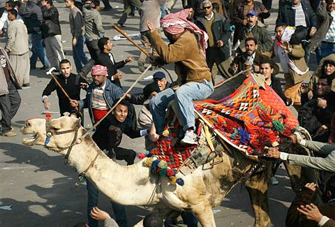 WORLDChaosinCairoSTORY