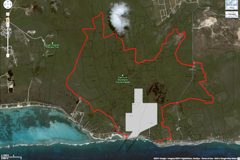 wetlands_cayman
