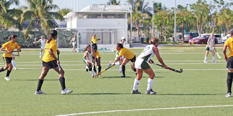Sports Story