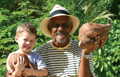 sweetpotatoes