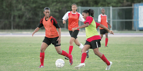 Sports Story