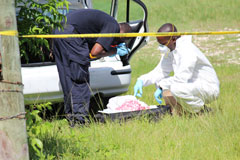 Car-Search