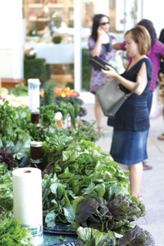 Camana Bay Farmers