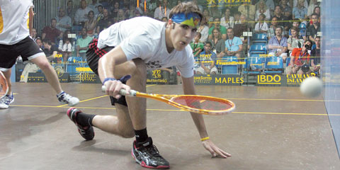 Squash