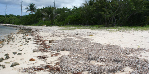 DubliBeach