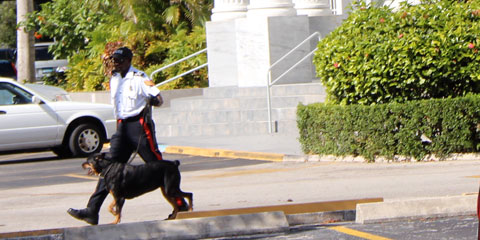 BombScare1