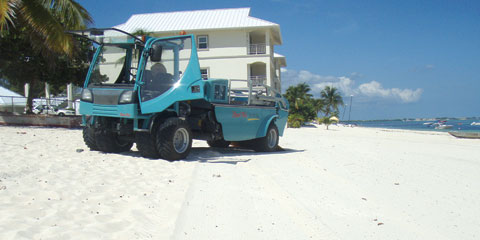 beachcleaning