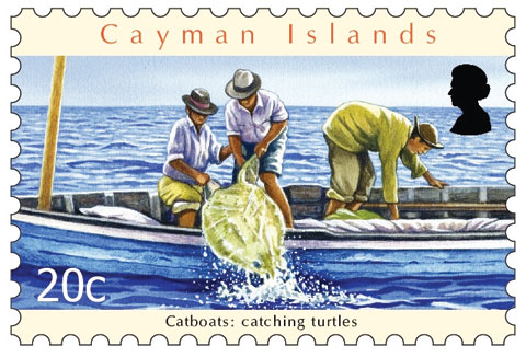 Catboat-Turtles