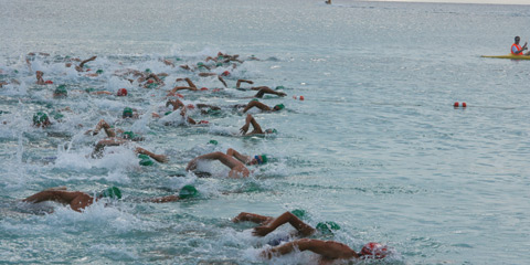 Fosters swim