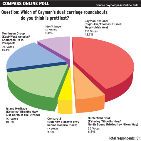 Online Poll - Roundabouts