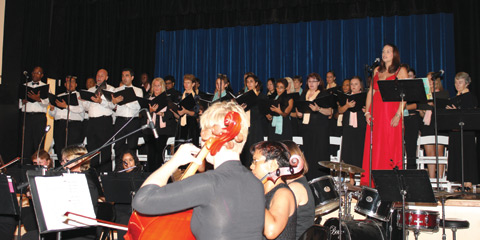 Voices for Hospice