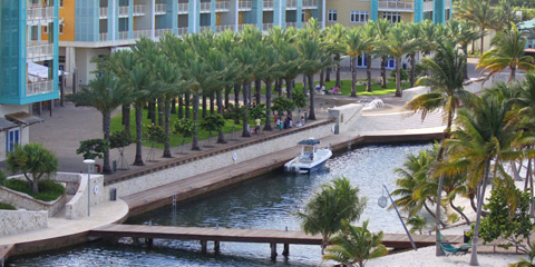 Camana Bay Crescent