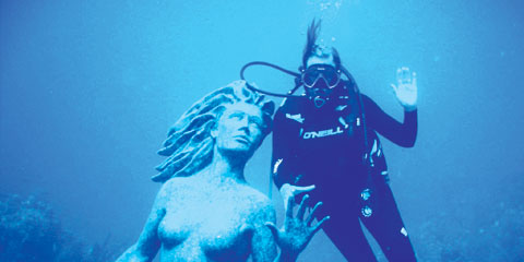 Diver 