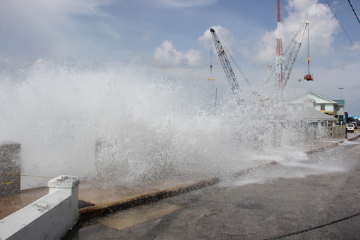 gt harbour