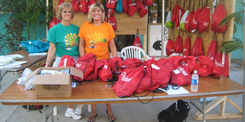 Bag check vols