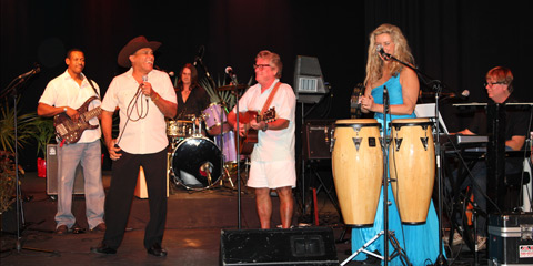NCVO 2011-3
