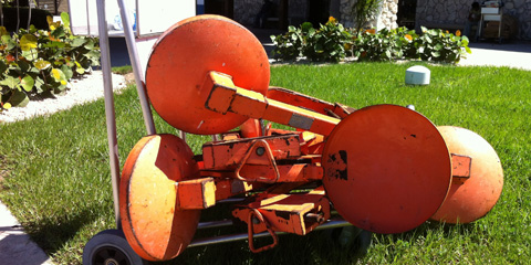 Wheel clamping Cayman