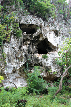Skull Cave Cayman Brac