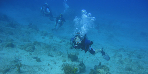 underwater treasure hunt cayman pirates week