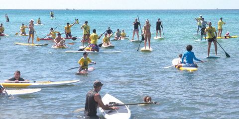 cayman paddleboarders