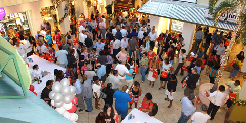 Island Companies Cayman BAH 2010