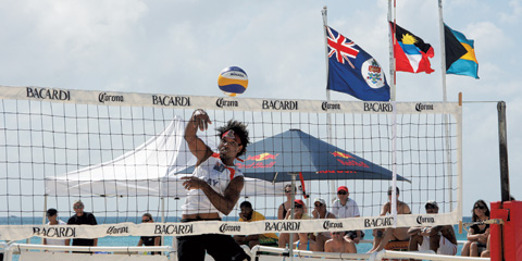 shervin rankin