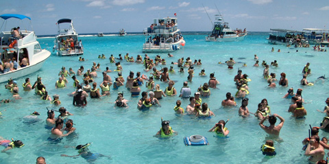 stingray city cayman h