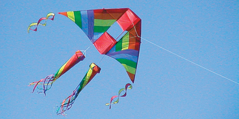 kites cayman
