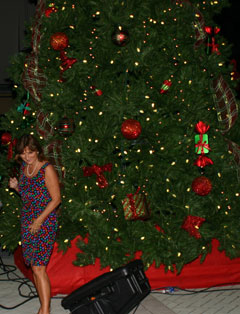 rotary christmas tree