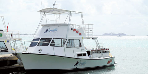living the dream divers cayman