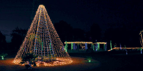 cayman brac christmas lights - 2