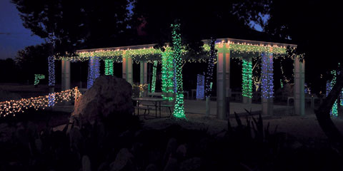 cayman brac christmas lights